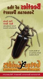 封面:索诺兰沙漠的甲虫
