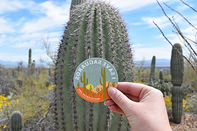Person holding up a I Save Saguaros sticker in front of a saguaro