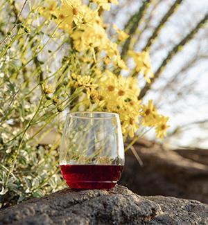 a glass of red wine in front of brittlebush flowers