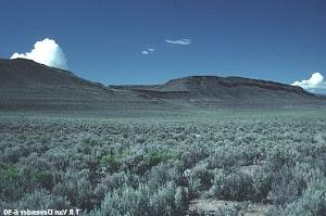 Great Basin Desert image gallery