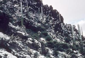 白雪覆盖的山坡