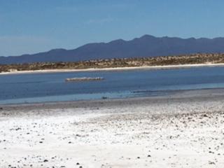 Pinacate生物圈保护区的盐滩